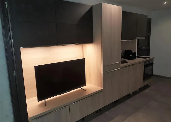 Apartamento T1 Bis Avec Mezzanine, Belle Terrasse Et Jardinet.