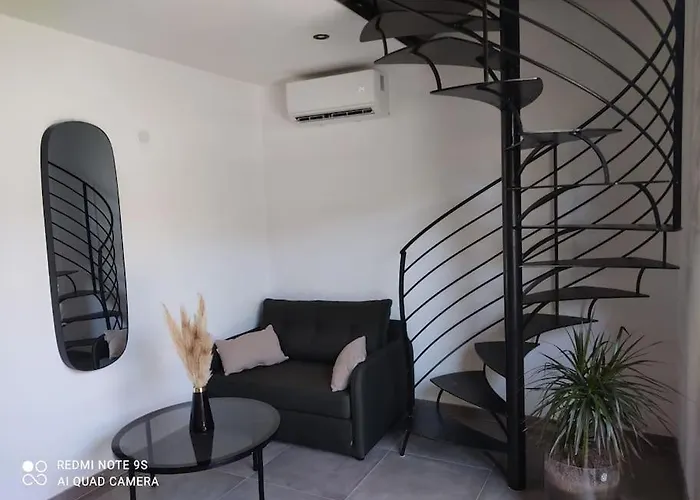 T1 Bis Avec Mezzanine, Belle Terrasse Et Jardinet. *