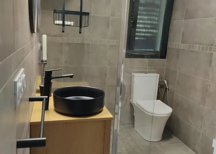 T1 Bis Avec Mezzanine, Belle Terrasse Et Jardinet. Appartement Moncale