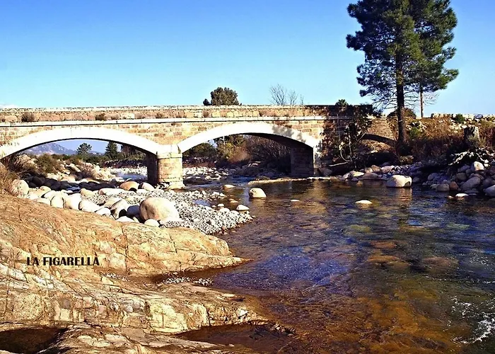 T1 Bis Avec Mezzanine, Belle Terrasse Et Jardinet. 아파트